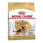 uae-online-purchase-german-shepherd-adult-royal-canin-joint-muscle-support