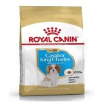 uae-online-purchase-cavalier-puppy-dog-food-royal-canin-growth-support