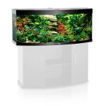 UAE Online Delivery Juwel VISION 450 LED Aquarium Set 450L for Panoramic Aquatic Viewing for Fish and Aquatic Pets
