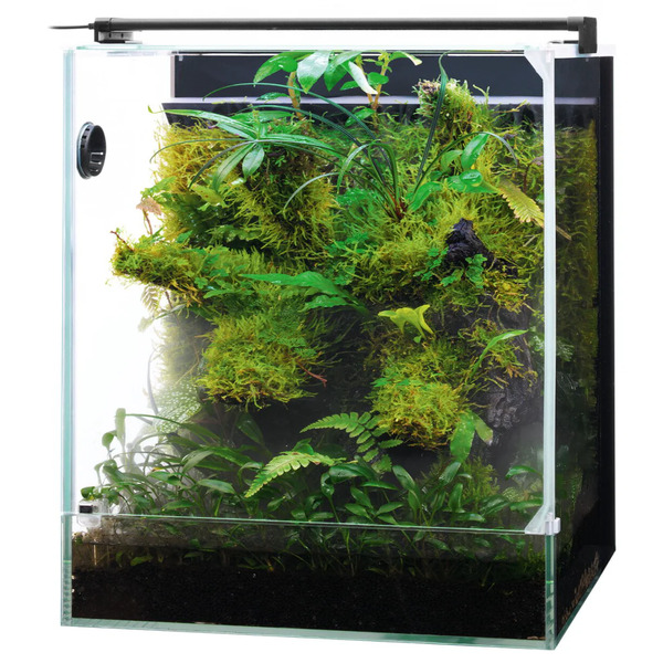 ADA System Paluda Terrarium System Plants Reptiles Integrated Mist UAE Online Sale