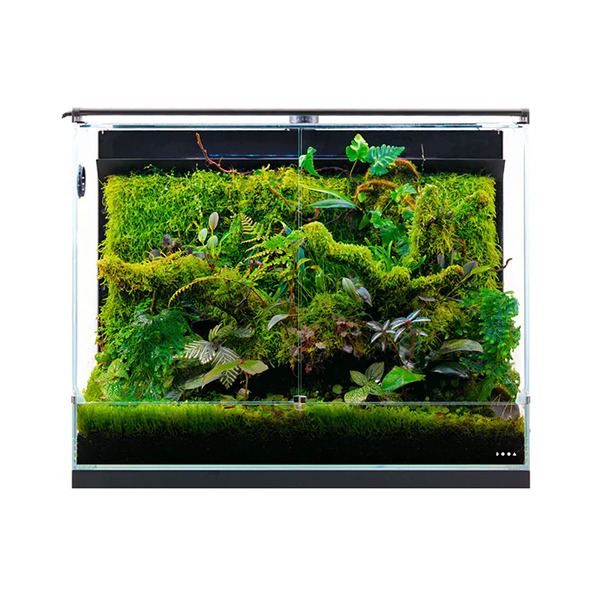 UAE Online Purchase ADA System Paluda Terrarium C Plug Without USB Adapter Natural Habitat