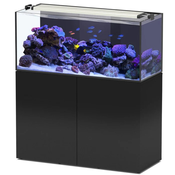 Aquatlantis AQUAVIEW 120 Aquarium Setup Black 278L Durable Glass UAE Online Sale