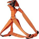 Bobby Access Harness – Large