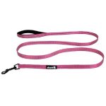 Alcott Adventure Leash – 6ft, Large