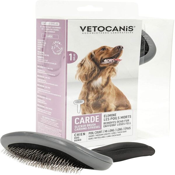 Agrobiothers Carded Brush Large Dog Grooming Large Size UAE Online Sale