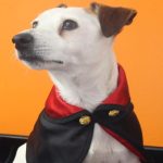 Bobby Coat Tricky Vampire Costume – 30cm