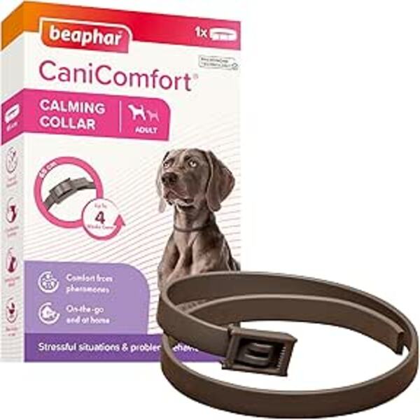 Beaphar CaniComfort Calming Collar Dog 65cm Stress Relief UAE Online Sale