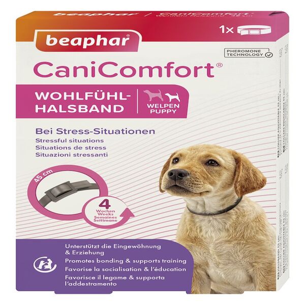 UAE Online Purchase Beaphar CaniComfort Calming Collar Puppy Reduce Anxiety