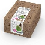 UAE Online Delivery Catit Cat Grass Kit Set of 3 Catit To Support Digestive Health