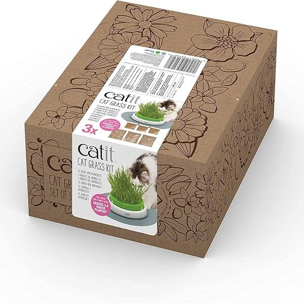 UAE Online Delivery Catit Cat Grass Kit Set of 3 Catit To Support Digestive Health