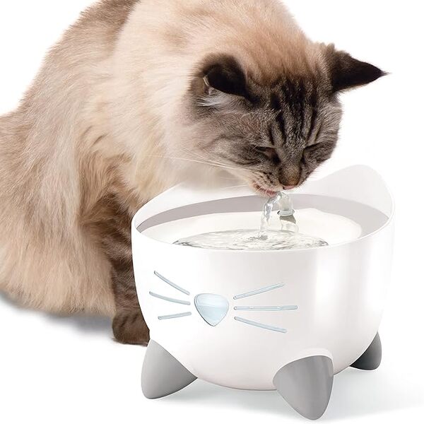 UAE Online Delivery Catit PIXI Stainless Steel Fountain Catit 2.5L To Promote Healthy Hydration