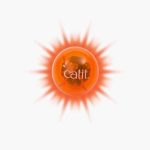 UAE Online Delivery Catit Senses 2.0 Fireball Catit To Stimulate Play and Activity
