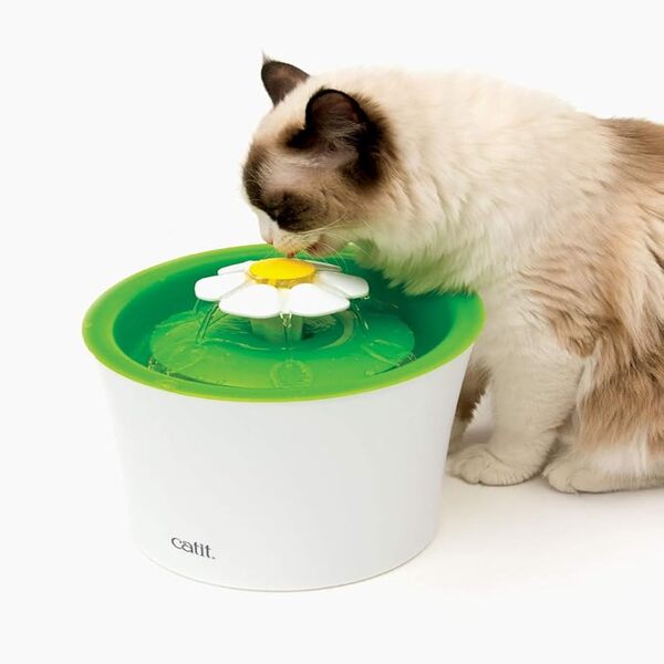 UAE Online Delivery Catit Senses 2.0 Flower Fountain for Fresh Flowing Water for Cats