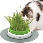 UAE Online Delivery Catit Senses 2.0 Grass Planter Catit To Support Healthy Digestion