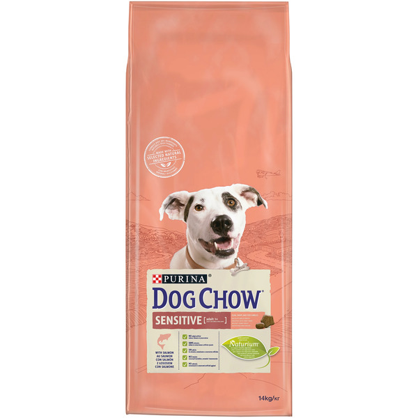 UAE Online Purchase Purine Dog Chow Sensitive Salmon Dry Dog Food Digestion