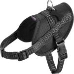 Bobby Easy Safe Harness – Black