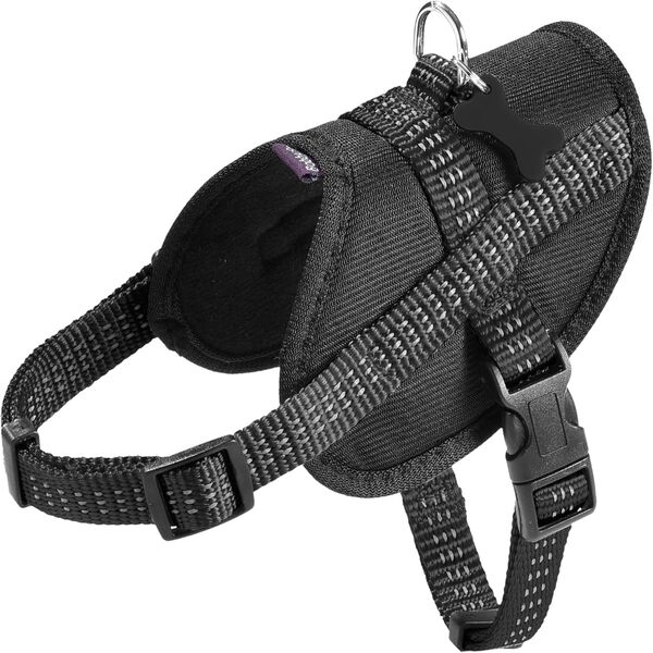 Bobby Easy Safe Harness – Black