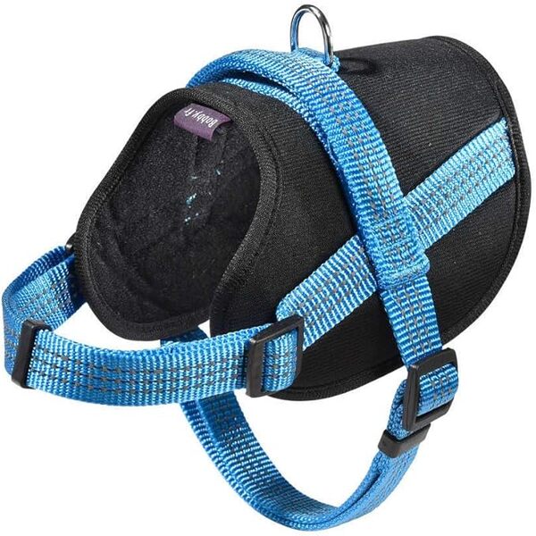 Bobby Easy Safe Harness – Blue