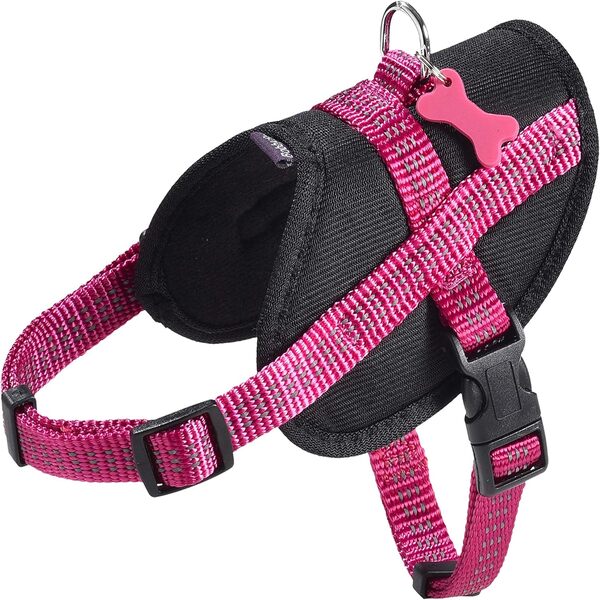 Bobby Easy Safe Harness – Fuschia
