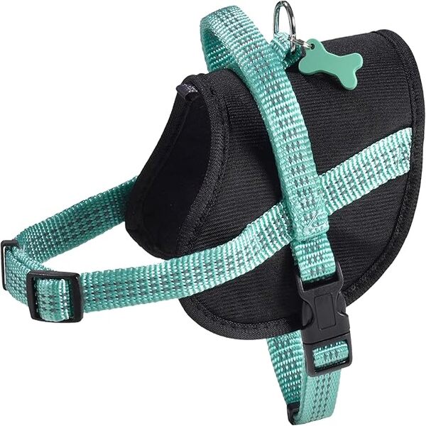 Bobby Easy Safe Harness – Lagon