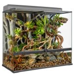 Exo Terra Paludarium Rainforest Terrarium Dual Zone Habitat UAE Online Sale