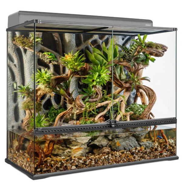 Exo Terra Paludarium Rainforest Terrarium Dual Zone Habitat UAE Online Sale