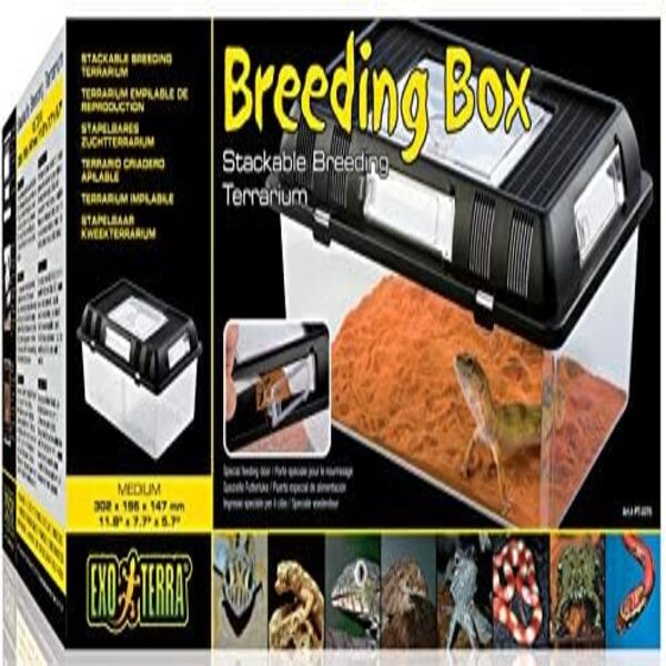 Exo Terra Breeding Box Reptile Housing Stackable Design UAE Online Sale
