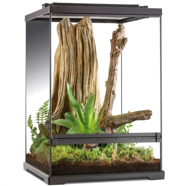UAE Online Purchase Exo Terra Dart Frog Terrarium Frog Habitat Secure Access