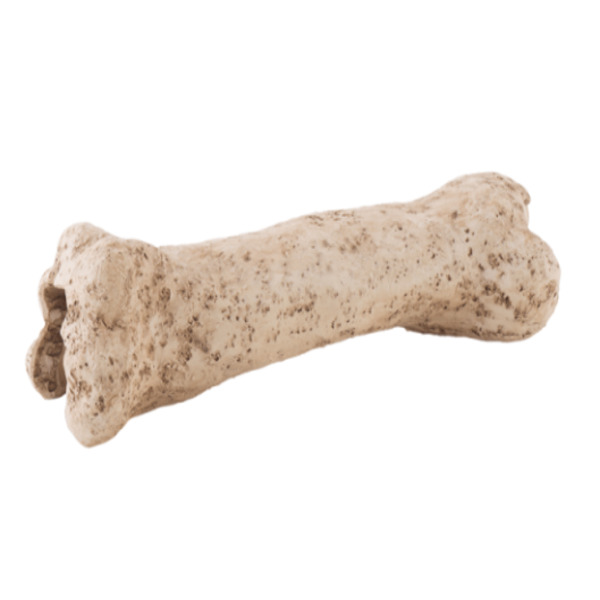 UAE Online Purchase Exo Terra Dinosaur Bone Ornament Realistic Design