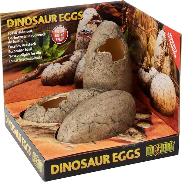 Abu Dhabi Online Delivery Exo Terra Dinosaur Eggs Reptiles Hide