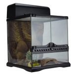 Dubai Online Delivery Exo Terra Habitat Kit Desert Reptile Setup Medium