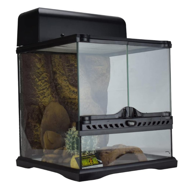 Dubai Online Delivery Exo Terra Habitat Kit Desert Reptile Setup Medium