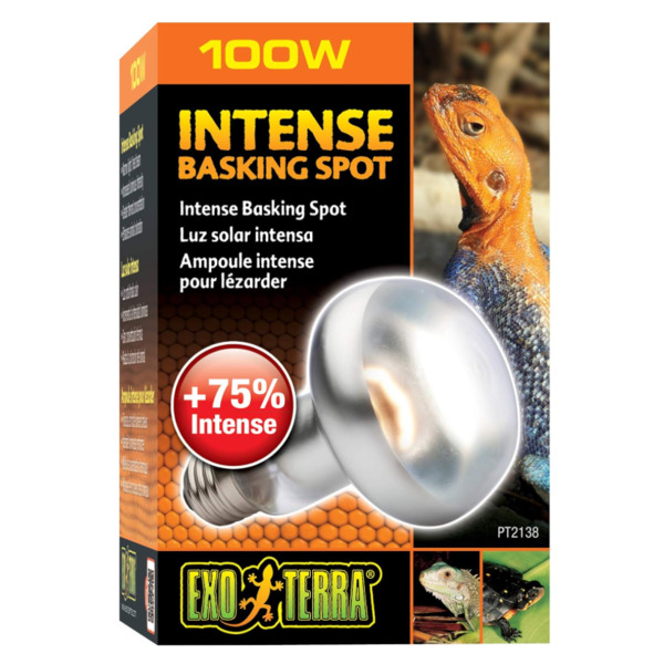 Abu Dhabi Online Delivery Exo Terra Intense Basking Spot Light for Reptile Tanks