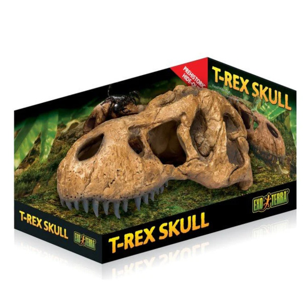 Dubai Online Delivery Exo Terra T-Rex Skull Fossil Hide Out Reptile Terrarium Decor