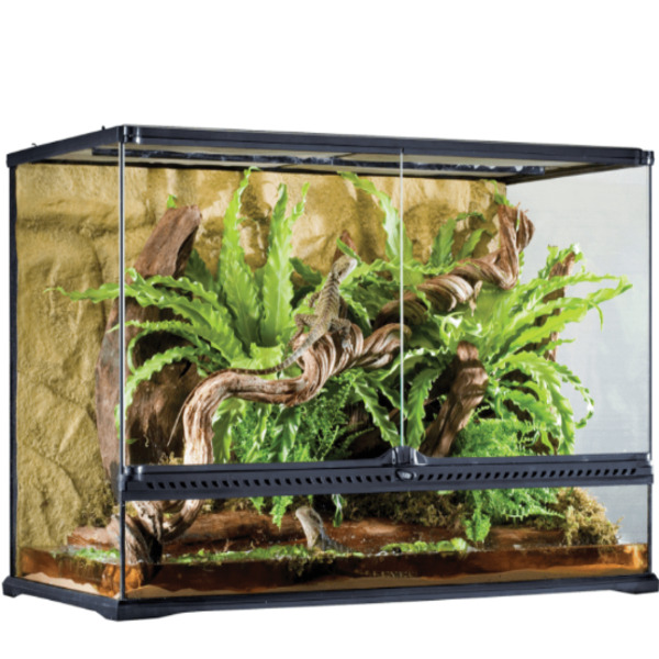 Dubai Online Delivery Exo Terra Tall Terrarium Large Reptile Habitat