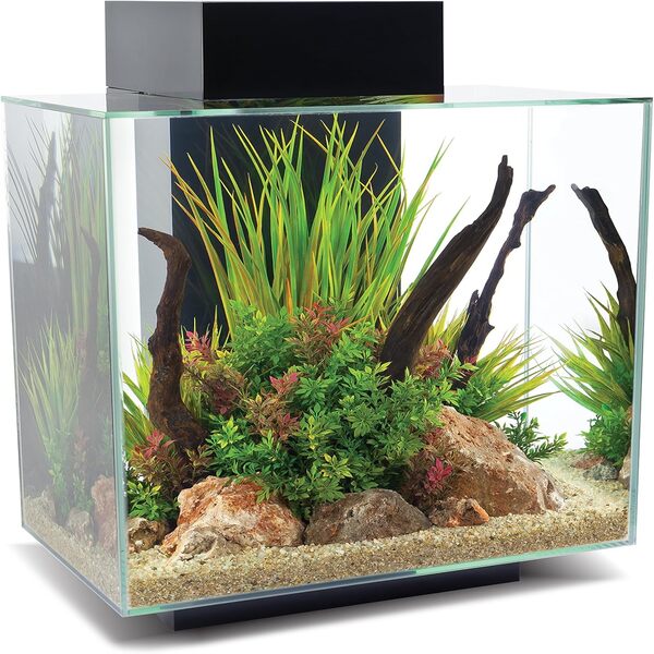 UAE Online Delivery Fluval Edge 2.0 46L Aquarium Set Fluval Creating Stunning Aquatic Displays for Fish