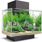 UAE Online Delivery Fluval Edge Aquarium Set 2.0 23L Fluval Enhancing Aquatic Environments for Fish
