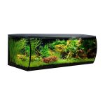 UAE Online Delivery Fluval Flex Aquarium Kit 123L Fluval Setting Up Advanced Aquatic Environments for Fish