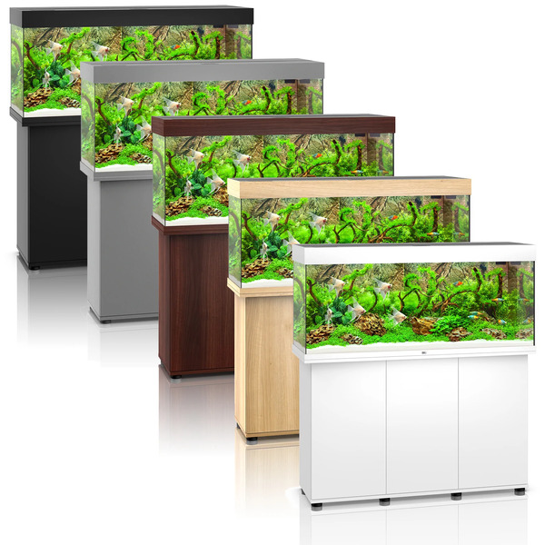 UAE Online Delivery Juwel RIO 240 LED Aquarium Set for Creating a Premium Aquatic Environment for Fish and Aquatic Pets