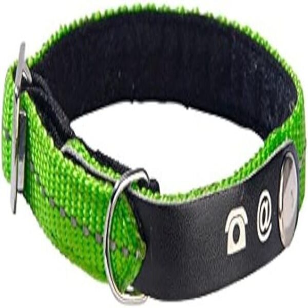 Bobby Lost Cat Collar