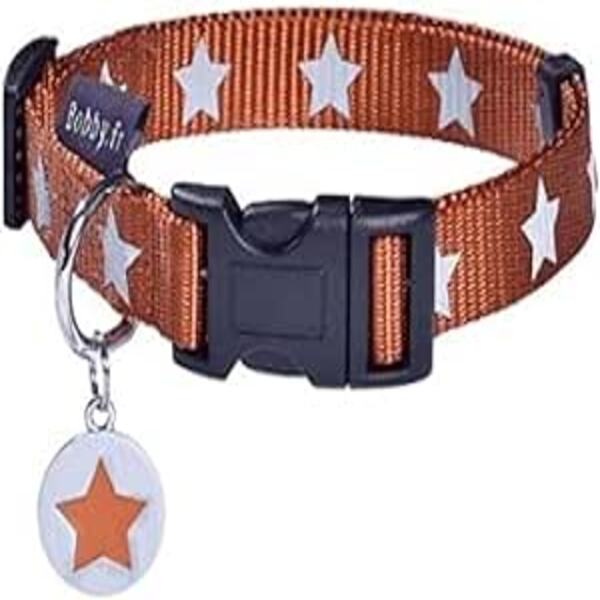 Bobby Midnight Collar – Orange / Small