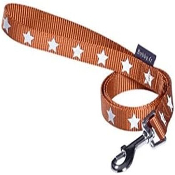 Bobby Midnight Lead – Orange for Dogs and Cats