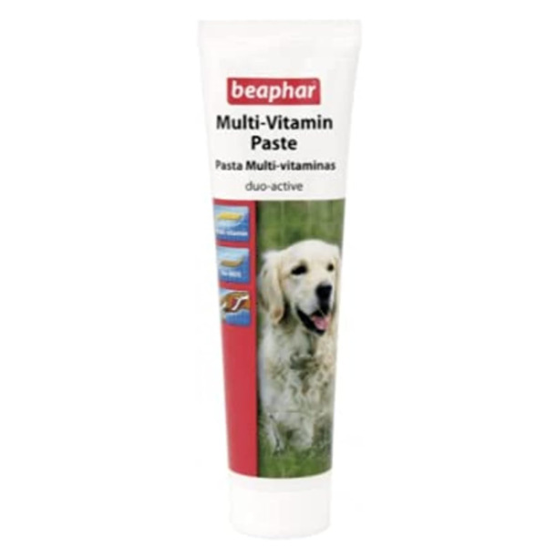 Beaphar Multi Vitamin Paste Dog Health Care 100g UAE Online Sale