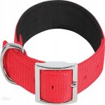 Zolux Nylon Comfort Collar For Dogs Soft Fit 40 Cm 20 Mm UAE Online Sale