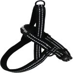 Alcott Norwegian Harness – Black