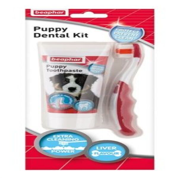 Dubai Online Delivery Beaphar Puppy Dental Kit Oral Care 50g