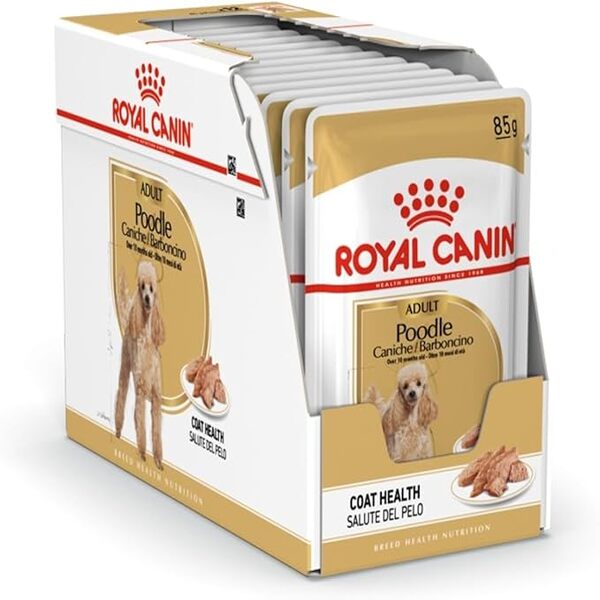 poodle adult wet food royal canin. dubai online delivery