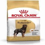 royal-canin-rottweiler-adult-dog-food-muscle-heart-health-uae-online-sale