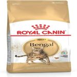 uae-online-purchase-bengal-adult-royal-canin-cat-food-2kg-muscle-support