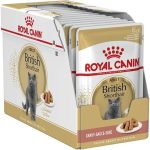 royal-canin-british-shorthair-wet-cat-food-85gx1 pouche-soft-texture-uae-online-sale